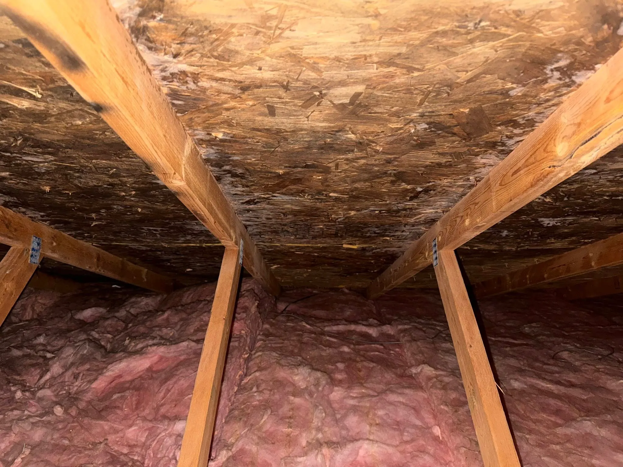 Standing seam metal roof BC
