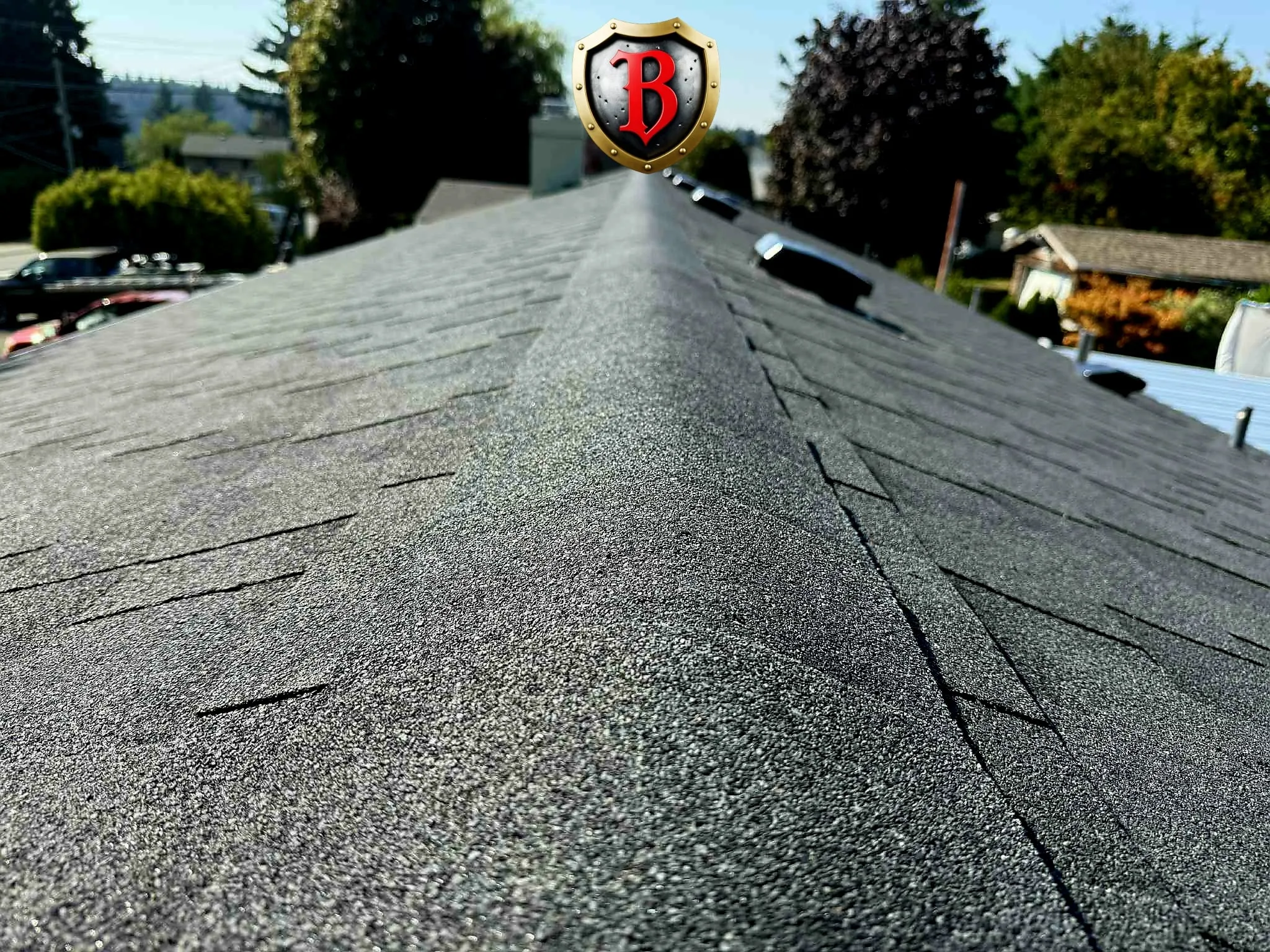 Cedar shingle roof BC