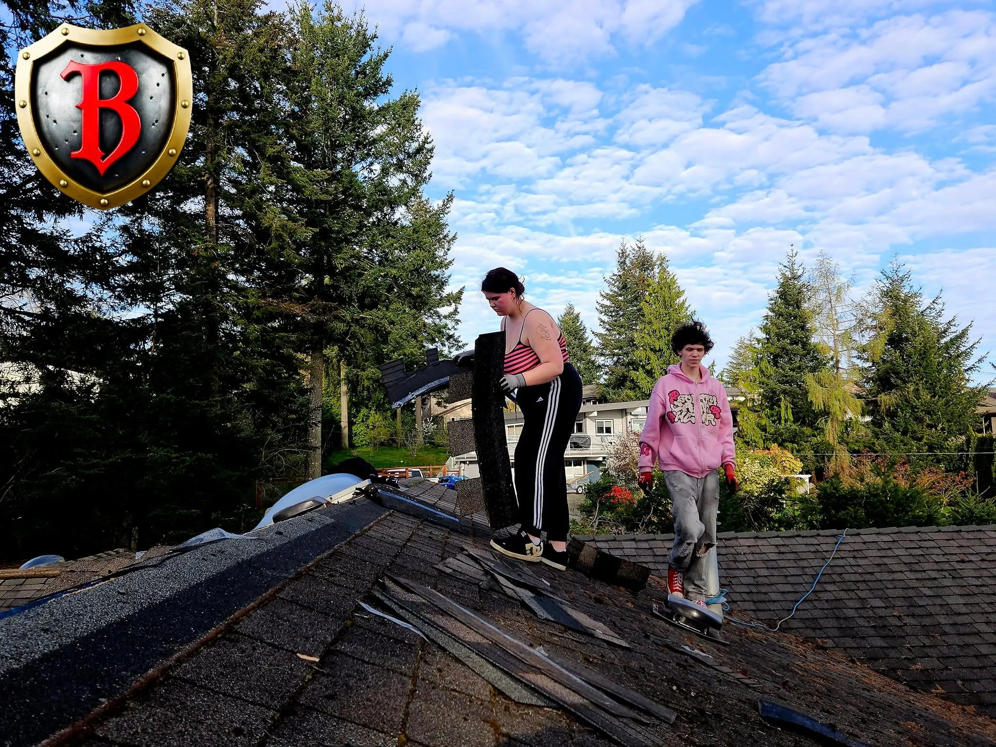 Dramatic roof improvement